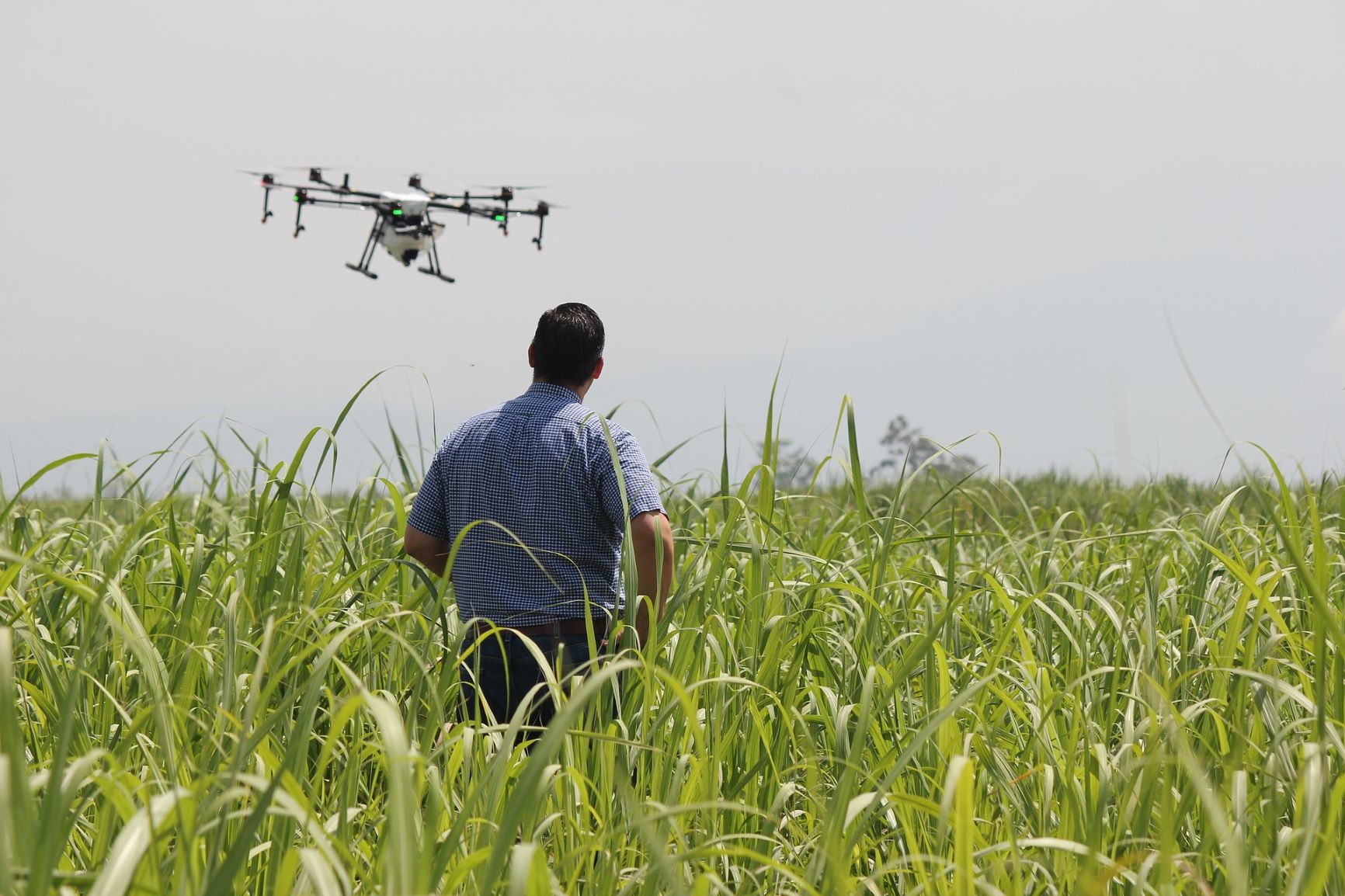 UAVs for Precision Agriculture